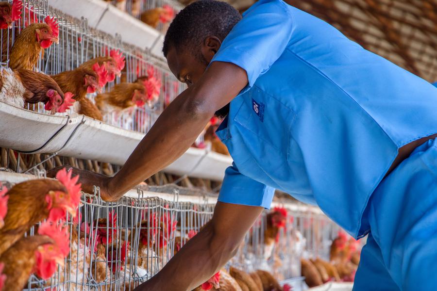 Jokun Farms team member